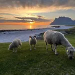 Real Fisherman's In Ballstad, Lofoten Feriehus Ballstad