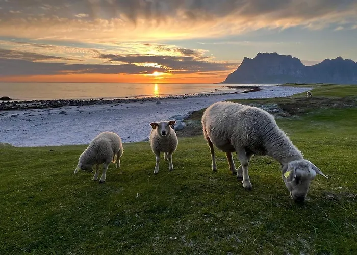 Real Fisherman's In Ballstad, Lofoten Сasa de vacaciones Ballstad