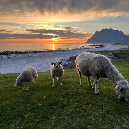 Real Fisherman's In Ballstad, Lofoten 度假居 巴尔斯塔
