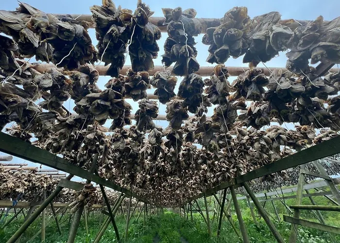 Real Fisherman's In Ballstad, Lofoten Dom wakacyjny *